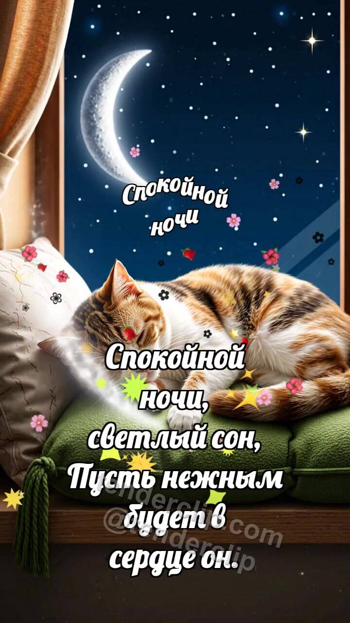 Спокойной ночи: Луна укрывает кота