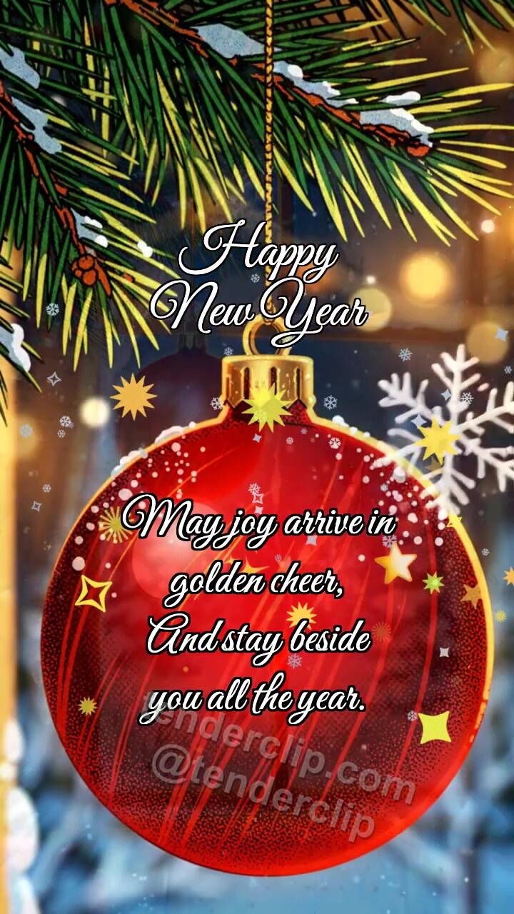 Happy New Year: Ornament Catches Snowflake