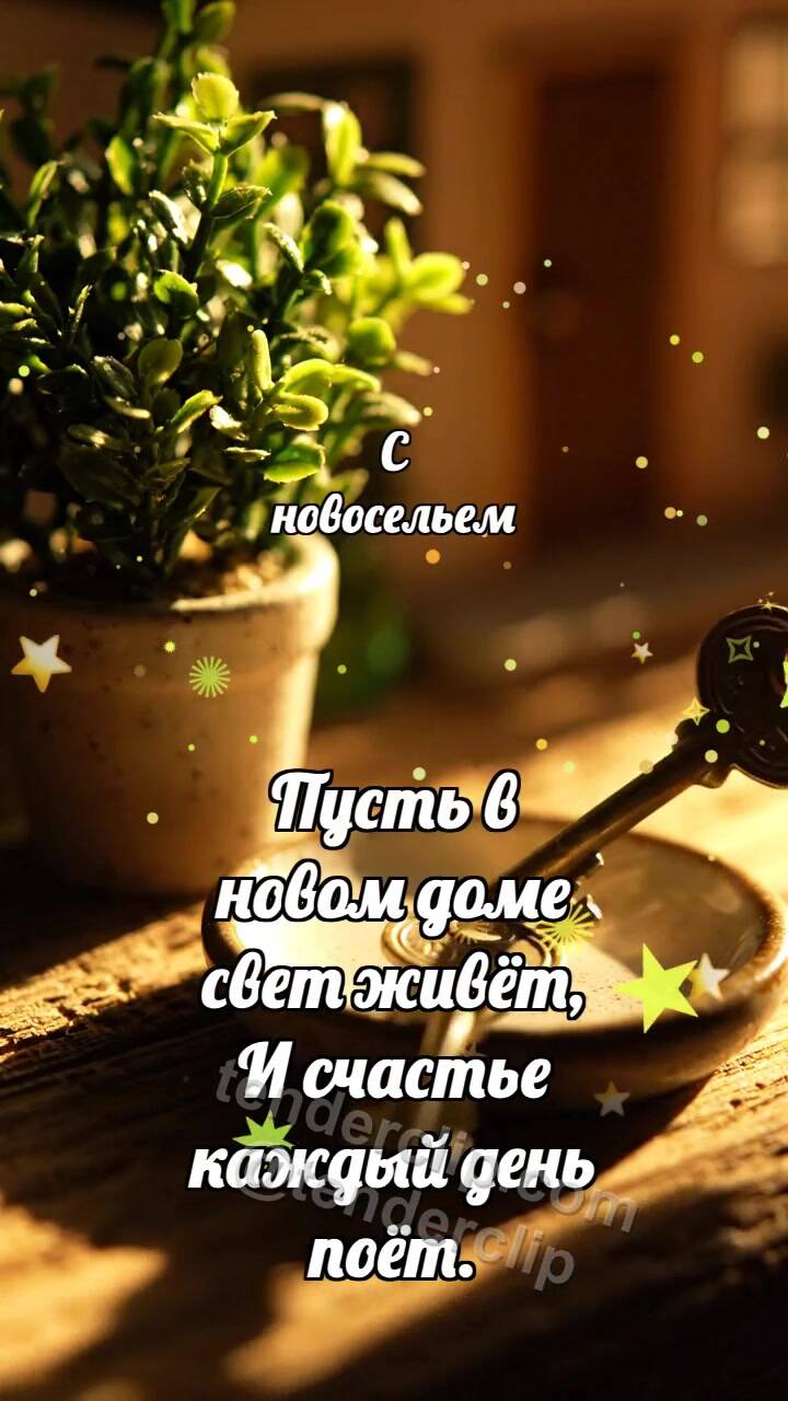 С выпускным: Шапочка ловит конфетти