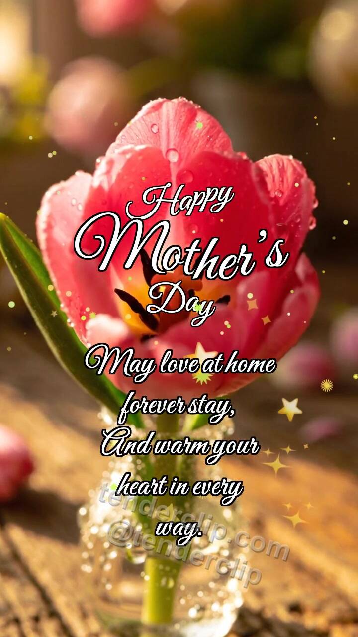 Happy Mother’s Day: Tulip Hides Heart
