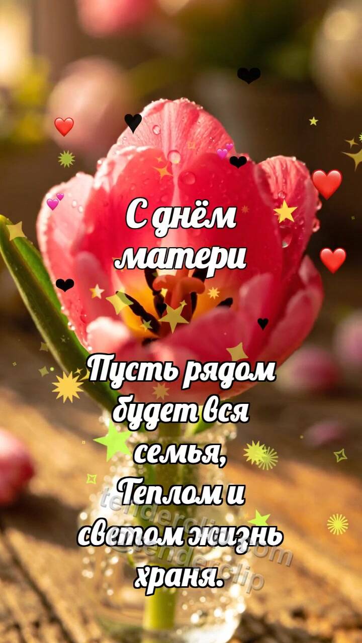 С днём матери: Тюльпан прячет сердечко