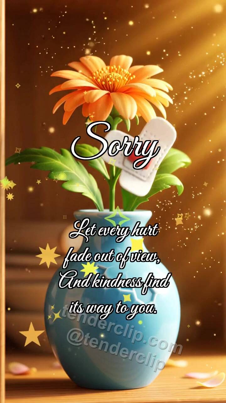 Sorry: Bandage for Vase
