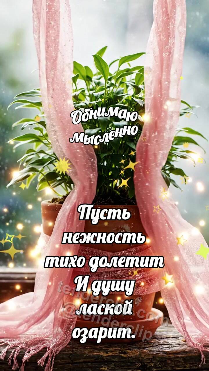 Обнимаю мысленно: Шарф обнимает горшок
