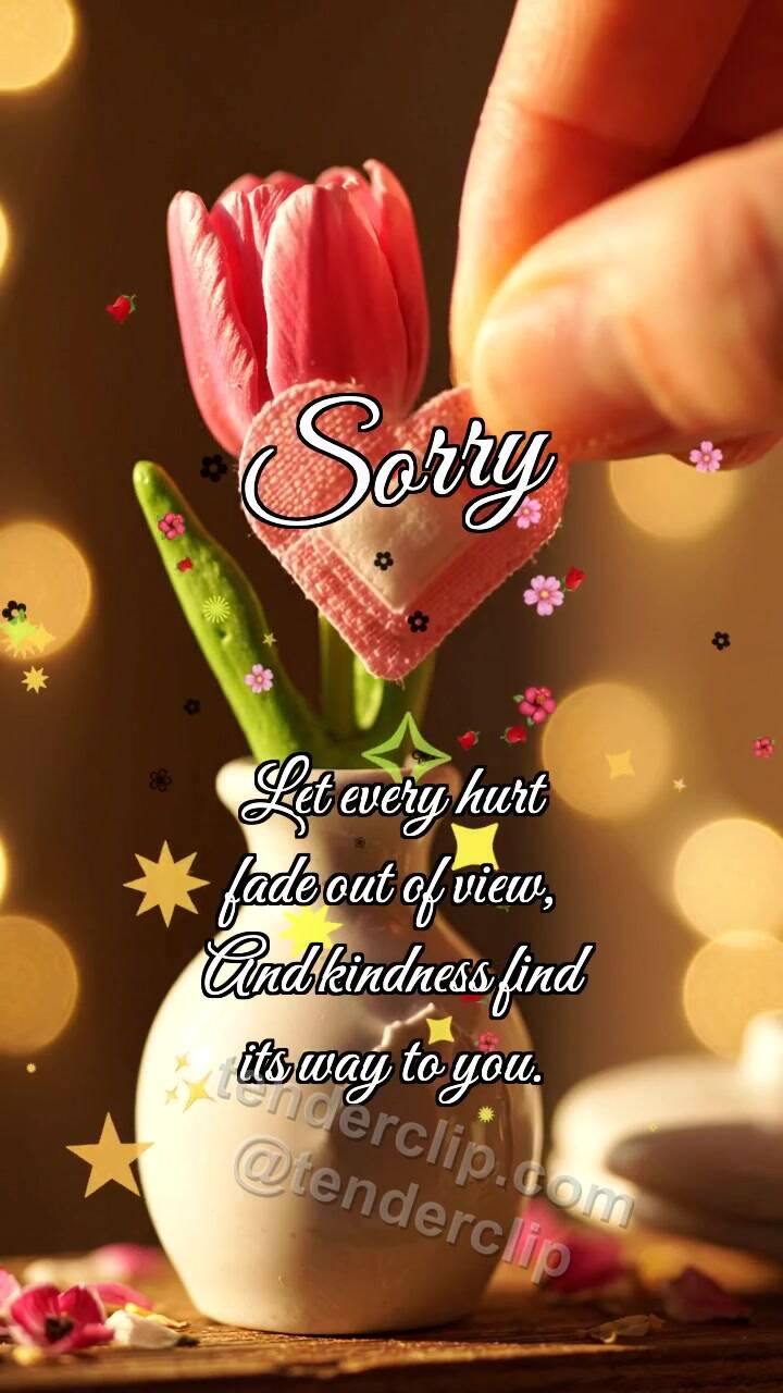 Sorry: Bandage for Vase