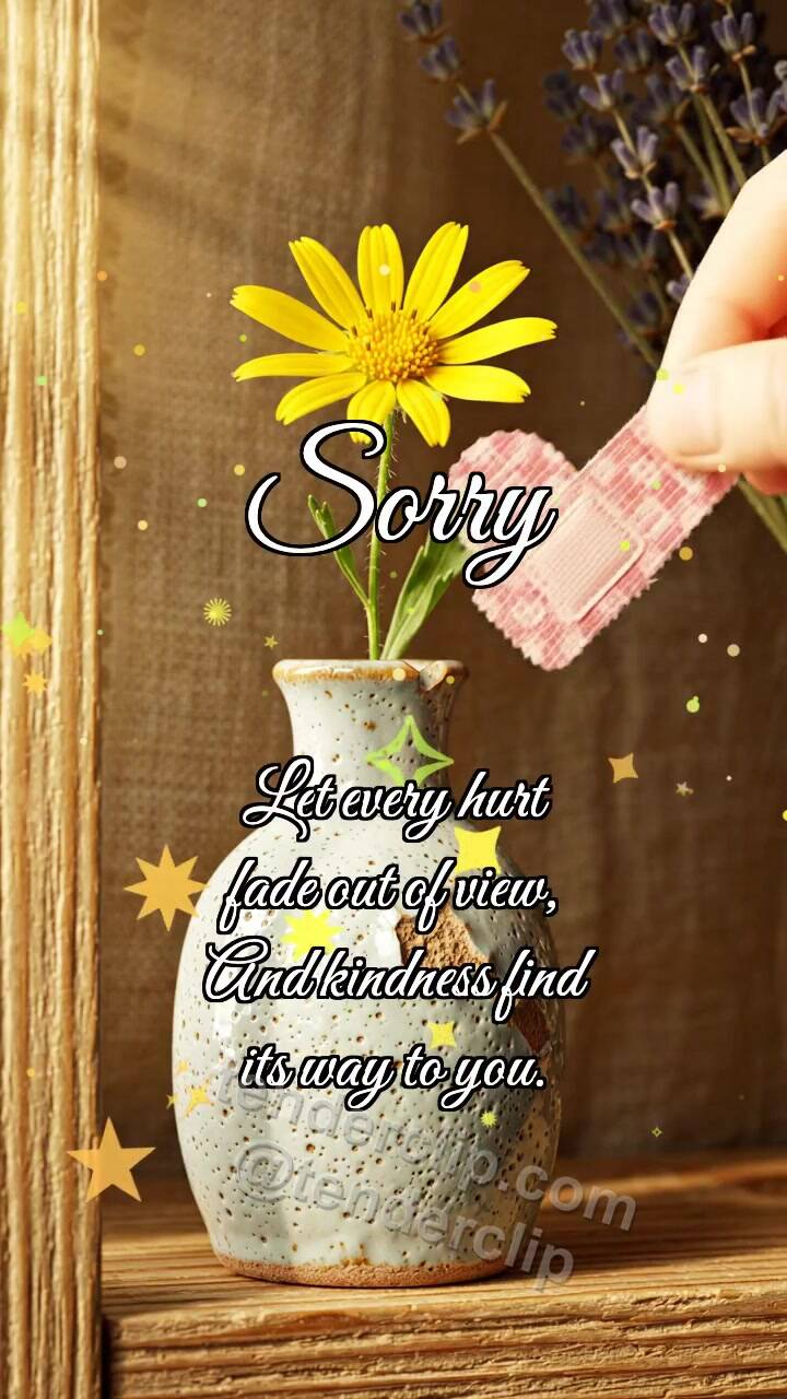 Sorry: Bandage for Vase