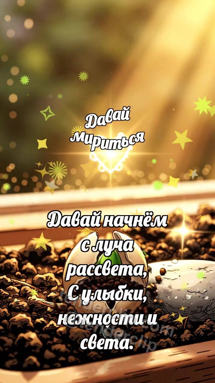 Давай мириться: Семечко открывает тропинку