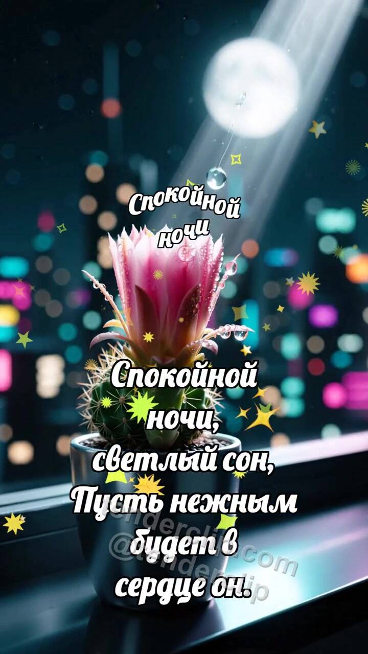 Анимационная открытка на тему Спокойной ночи: Кактус ловит луну