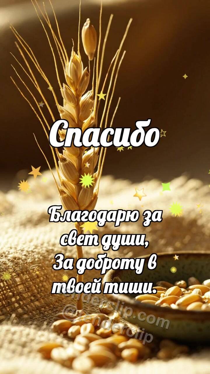 Анимационная открытка на тему Спасибо: Колосок дарит зёрнышко