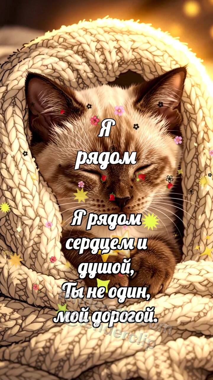 Анимационная открытка на тему Я рядом: Котёнок под большим пледом