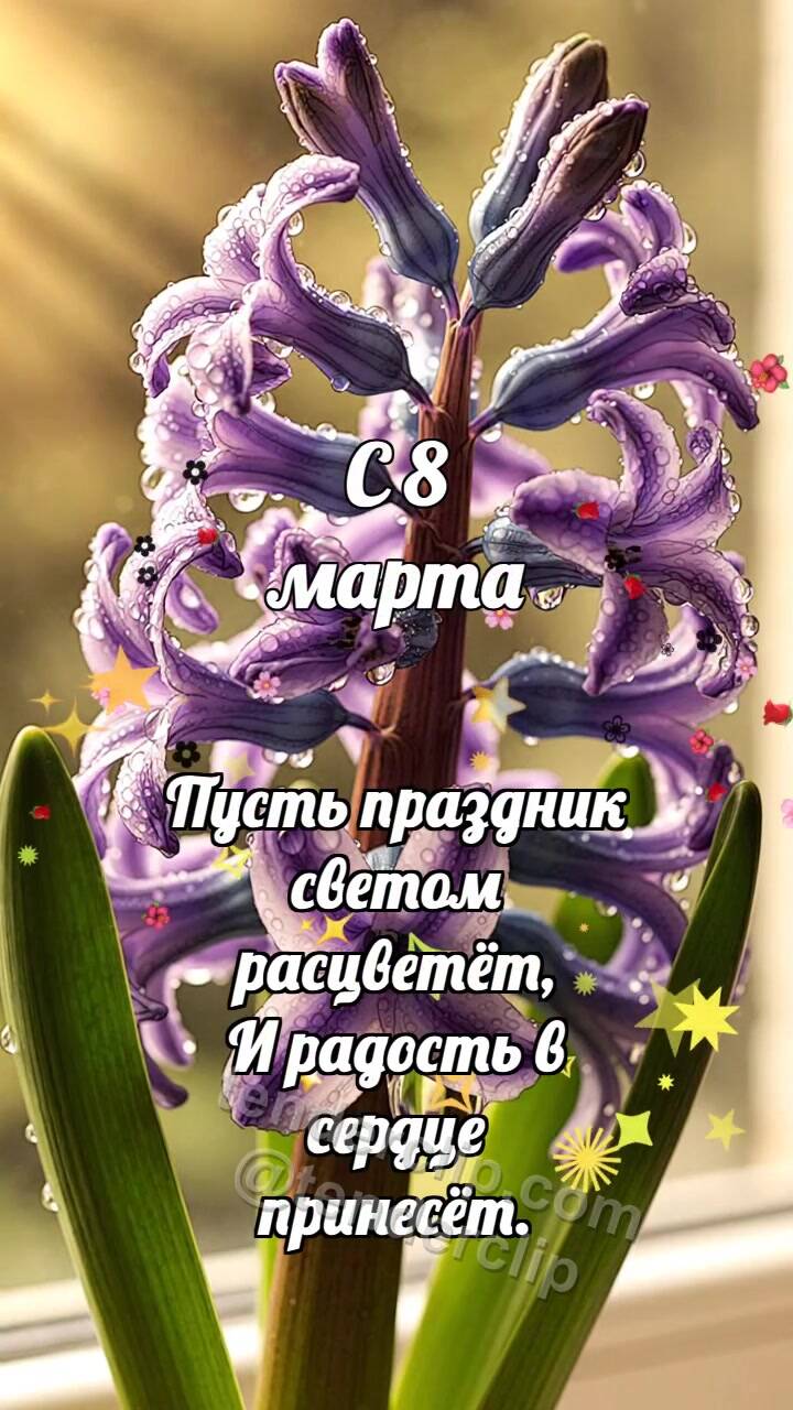 Анимационная открытка на тему С 8 марта: Гиацинтовая кисть будит каплю