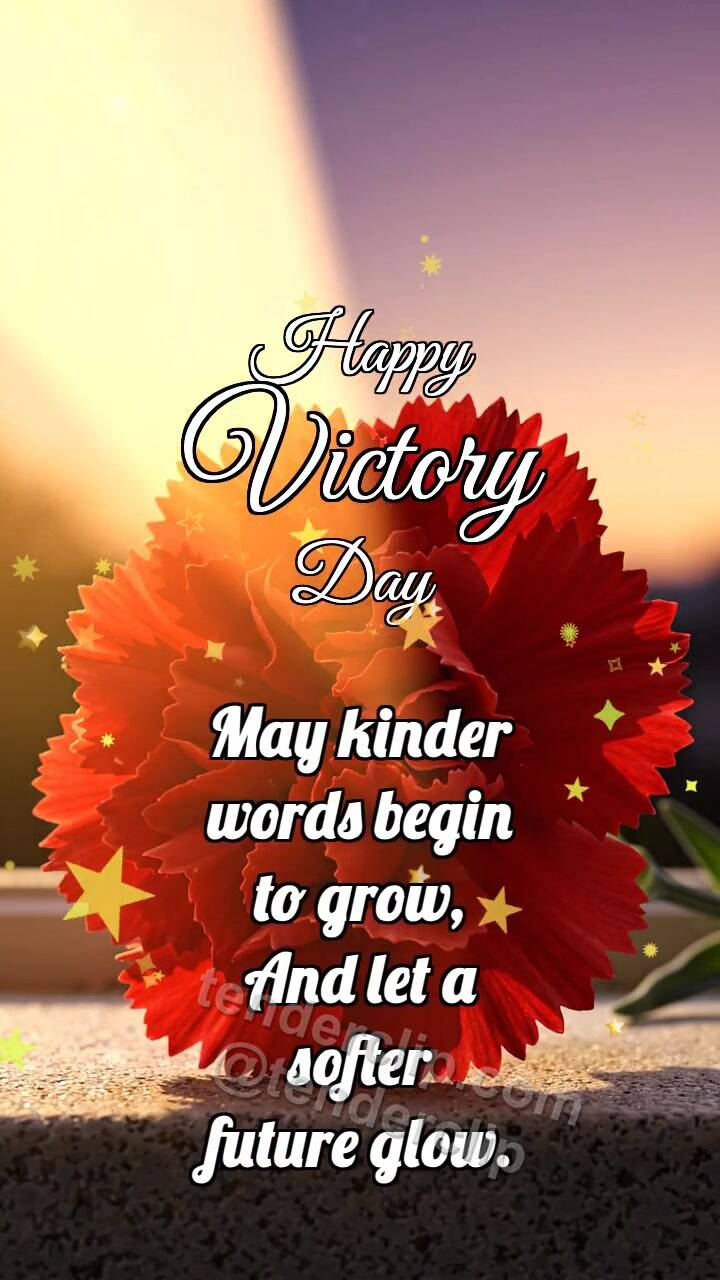 Animated greeting card about Happy Victory Day: Carnation Catches Dawn