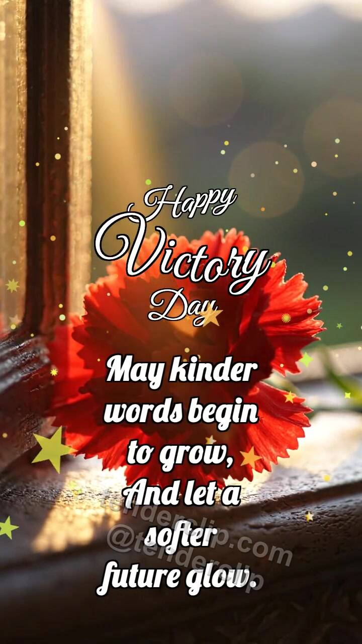Animated greeting card about Happy Victory Day: Carnation Catches Dawn