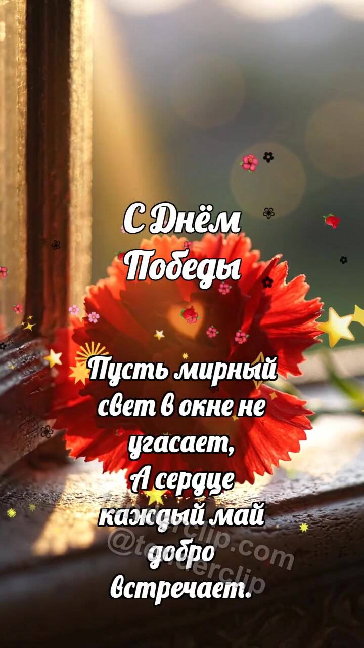 Анимационная открытка на тему С Днём Победы: Гвоздика ловит рассвет