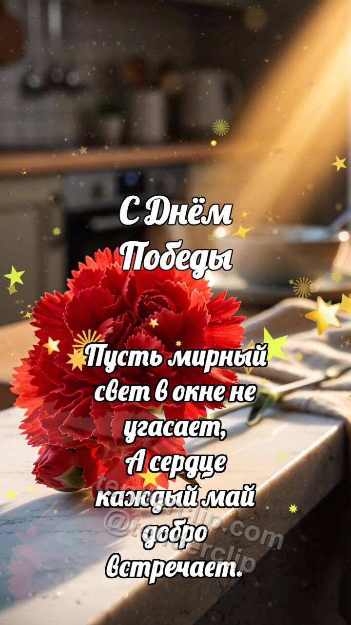 Анимационная открытка на тему С Днём Победы: Гвоздика ловит рассвет