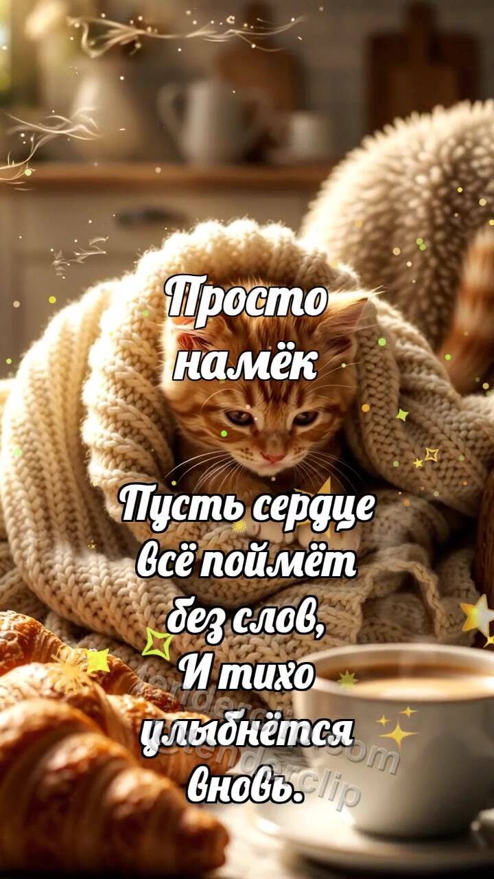 Анимационная открытка на тему Просто намёк: Котёнок под большим пледом
