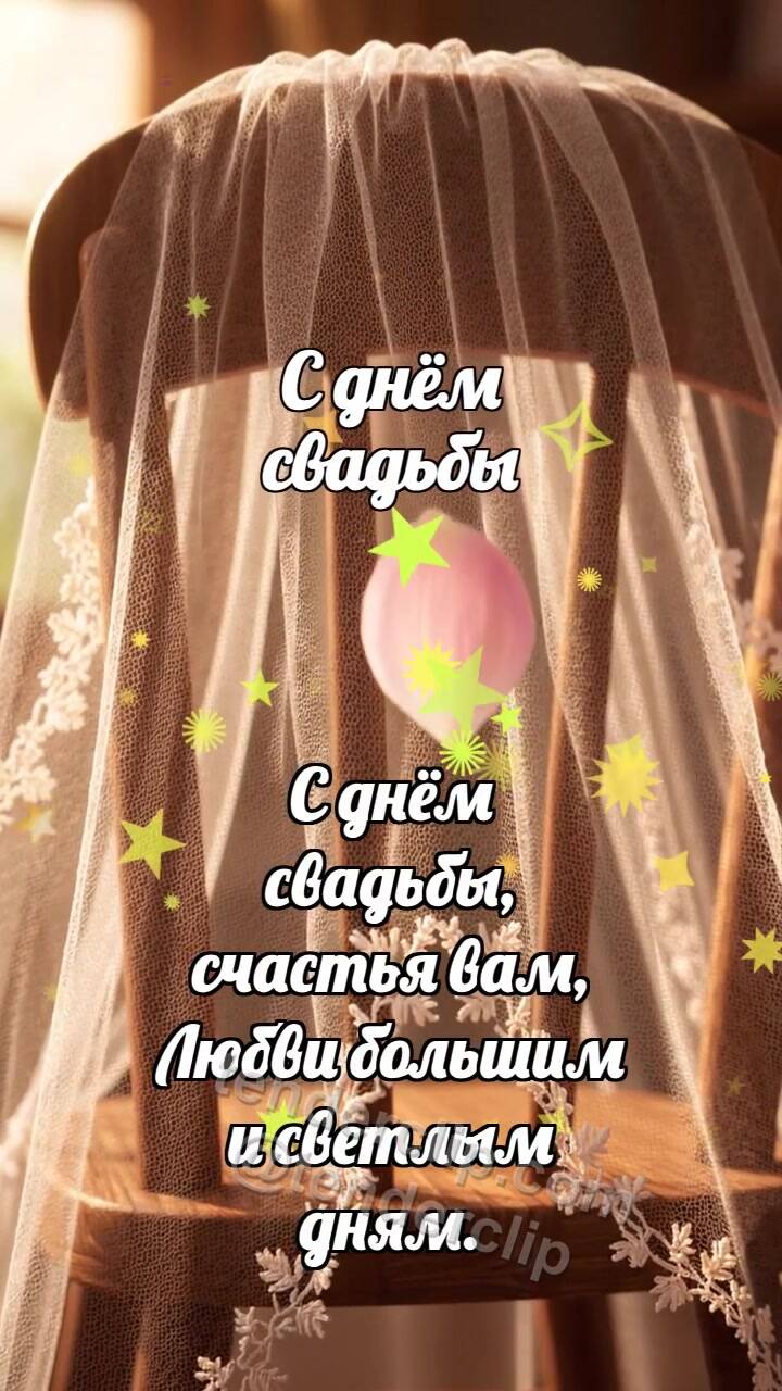 Анимационная открытка на тему С днём свадьбы: Фата ловит лепесток