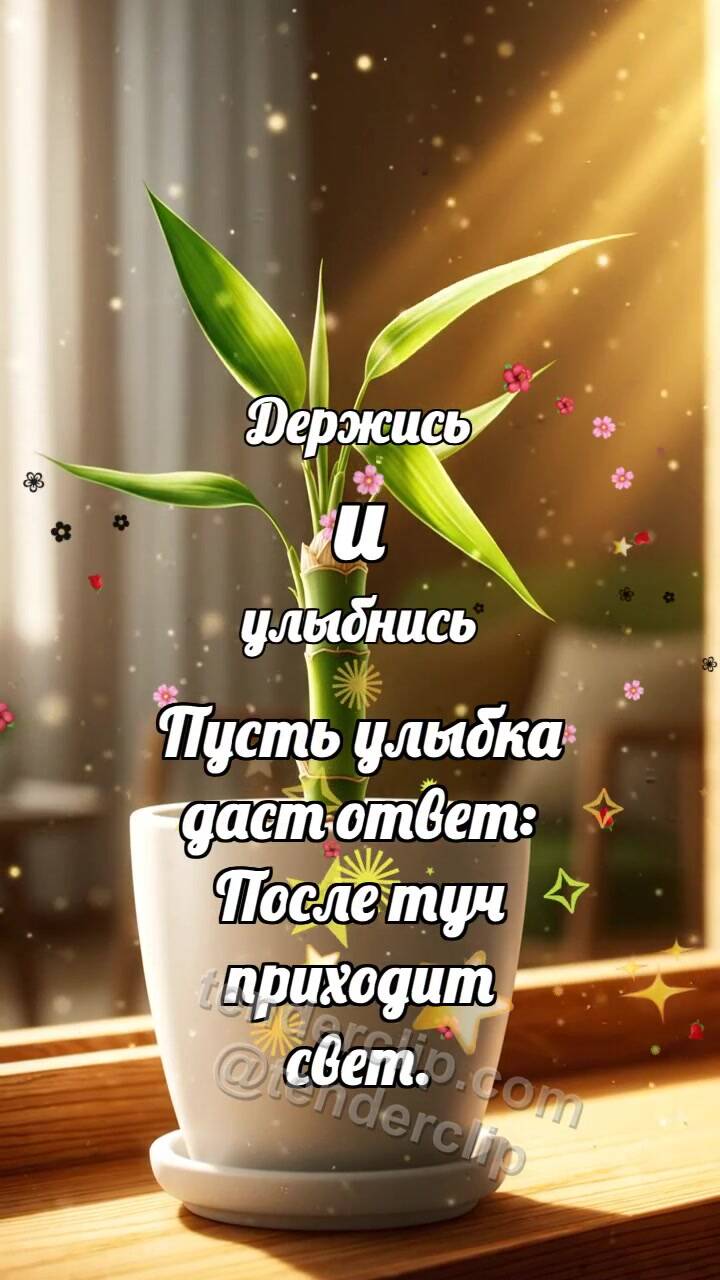 Анимационная открытка на тему Держись и улыбнись: Бамбук выпрямляет лист